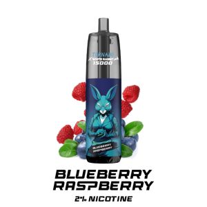 Tornado 2% 15000 blueberry rasperry rechargeable