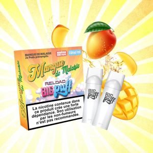 Recharge X2 Big Puff mangue 0 mg nicotine 